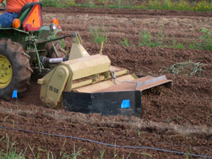 A bed shaper pulls soil into a raised bed creating a uniform planting surface (Photo courtesy of Kim Williams) 