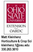 ohio state matt kleinhenz
