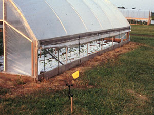Different orientations affect ventilation at the Research Facility in Columbia Missouri.