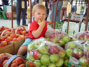 KidHomervilleOhioAuction