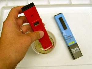 Maria using a hand-held pH meter, note EC meter in the background.  (photo courtesy of Marci Spaw)