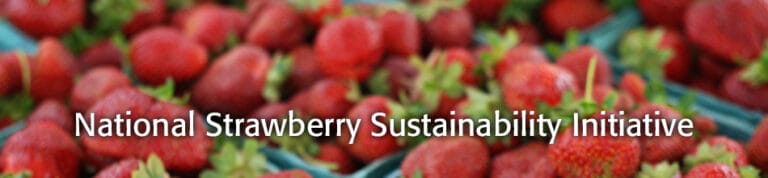 Moving the Needle, Accomplishments of the National Strawberry Sustainability Initiative 2013 – 2014
