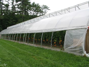 Natural Ventilation in High Tunnels