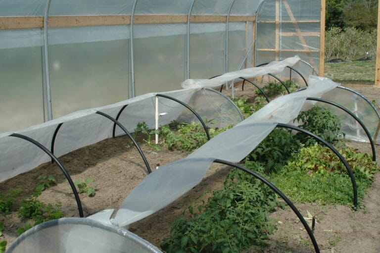 Organic Vegetable Production Systems, Certification of Organic Farming Systems