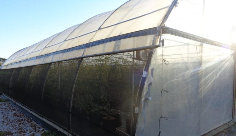 High Tunnel Pest Exclusion System: A novel strategy for organic crop production in the South