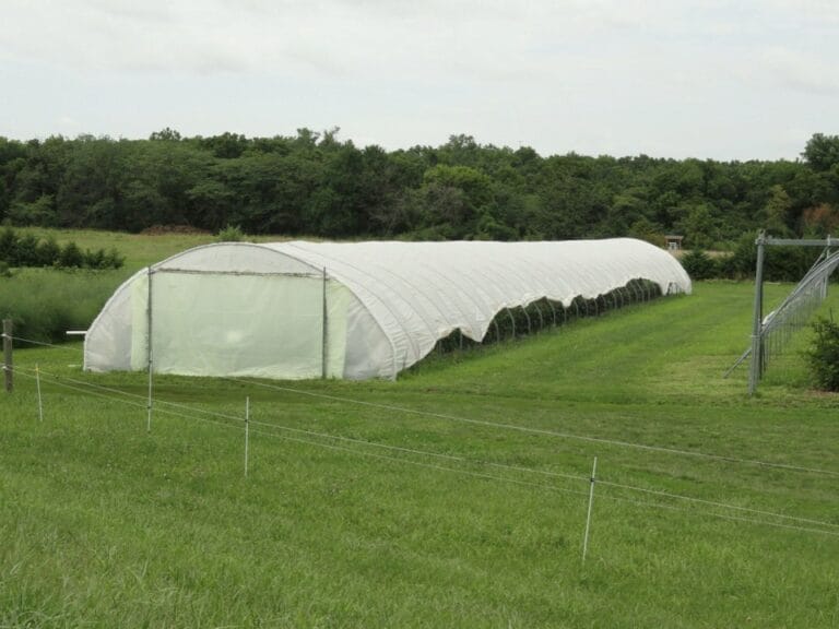 Types of High Tunnels – Terminology