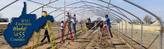 Design and Construction of High Tunnels in West Virginia