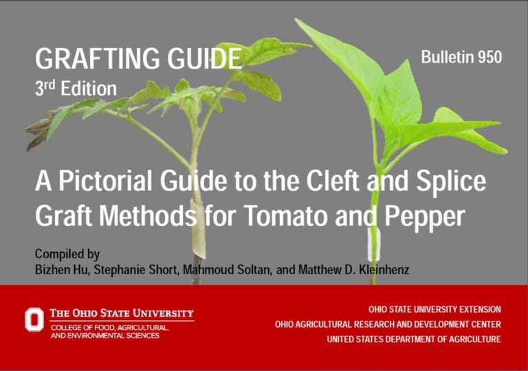 A Pictorial Guide to the Cleft and Splice Graft Methods for Tomato and Pepper
