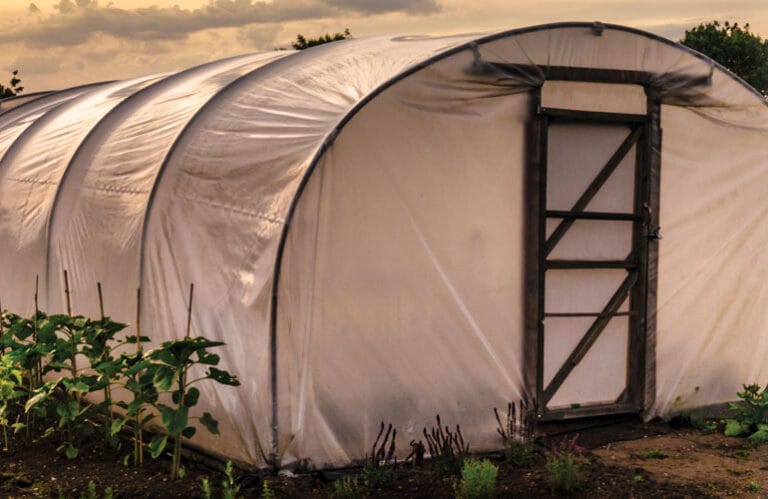 Are High Tunnels for You?