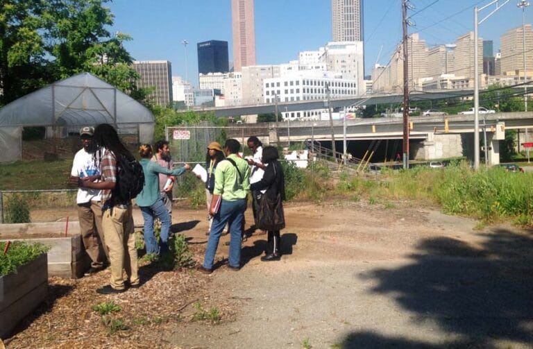 High Tunnels in Urban Agriculture