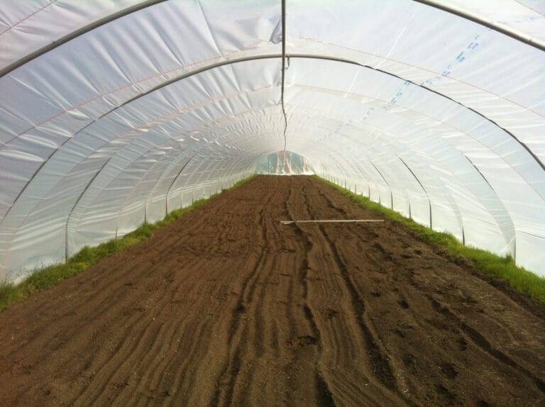 Frequently Asked Questions – Using Film Plastic