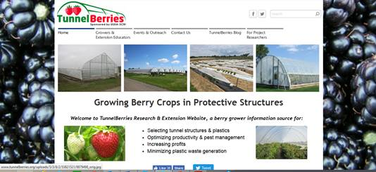 Growing Berry Crops in Protective Structures