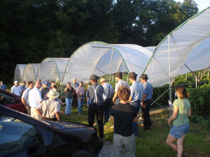 Gutter Connected High Tunnel
