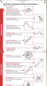 Figure 5. Alternative Vegetable IPM Slide Chart, funded by SARE, is available to producers.
