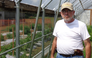 Producer Steve Carpenter inside his high tunnel with 30 percent shade cloth to exlude large moths and grasshoppers.