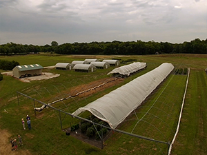 Multi Bay Haygrove Tunnel Kansas State University Horticulture Research Farm Olathe, KS