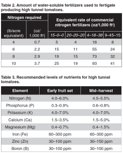 watering-fertilizng-tomatoes-4